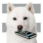 【mį】月例報告