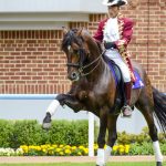 【mį】函館競馬場で馬を撮って来たよ♬