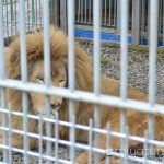 【mį】大沼ポロト動物園写真集♬