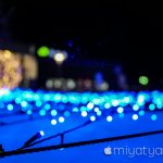 【mį】Panasonic LUMIX G8 ボディ内手ぶれ補正と写真検証