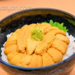 【mį】函館うにむらかみ様で豪華打ち合わせ♬ (函館海膽)